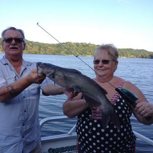 Meet your Posher, Cindy